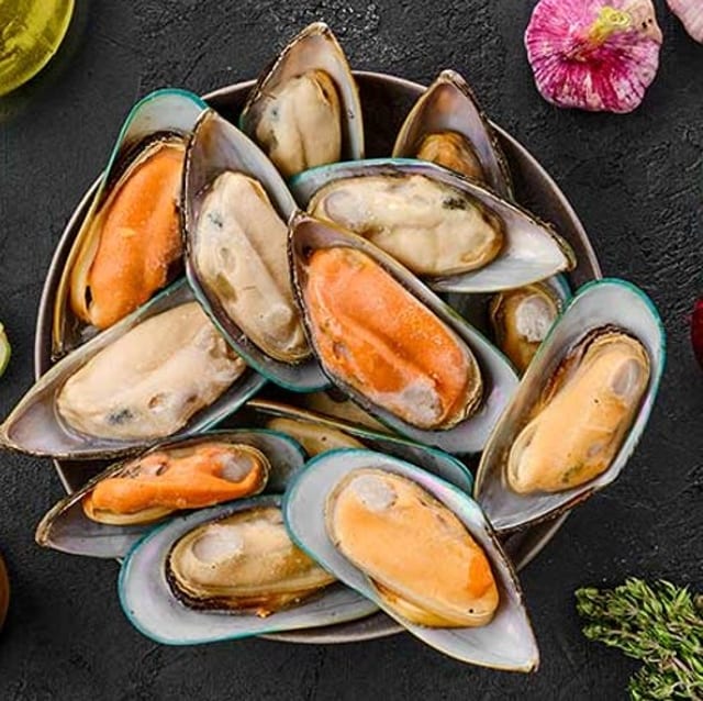 Large Mussel / Chem Chép.