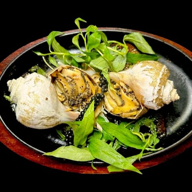 Conch / Ốc Giác.
