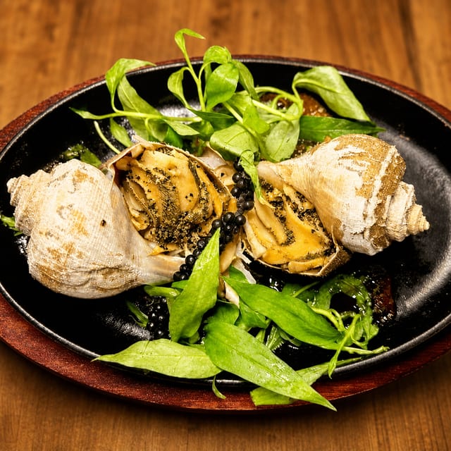 Conch / Ốc Giác.